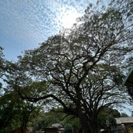 วัดเขาถ้ำคีรีวงค์