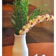 Cuisine de Garden Chiangmai Chiangmai