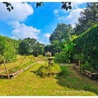 Cuisine de Garden Chiangmai Chiangmai