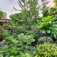 บรรยากาศ คาเฟ่บ้านช้าง