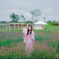 Tokyo farm โตเกียวฟาร์ม สวนดอกไม้ปากช่อง