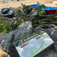 Bay Camp Cafe วนอุทยานเขาตาม่องลาย