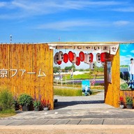 Tokyo farm โตเกียวฟาร์ม สวนดอกไม้ปากช่อง