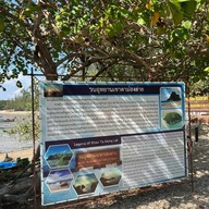 Bay Camp Cafe วนอุทยานเขาตาม่องลาย
