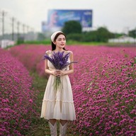 Tokyo farm โตเกียวฟาร์ม สวนดอกไม้ปากช่อง