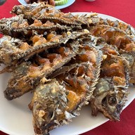 เมนูของร้าน สวนอาหารฟอล์คแลนด์