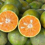 ส้มสายน้ำผึ้งฝาง🍊