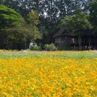 บรรยากาศ Jim Thompson Farm