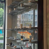 C.Space Cafe เดอะฮับ อารีย์