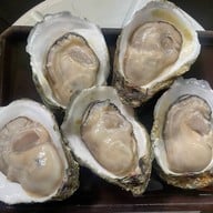 หอยนางรมสุราษฎร์ bkk เจริญนคร เจริญนคร