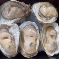 หอยนางรมสุราษฎร์ bkk เจริญนคร เจริญนคร