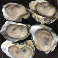 หอยนางรมสุราษฎร์ bkk เจริญนคร เจริญนคร