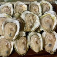 หอยนางรมสุราษฎร์ bkk เจริญนคร เจริญนคร