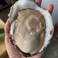 หอยนางรมสุราษฎร์ bkk เจริญนคร เจริญนคร