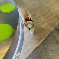 TANING (ถาหนิง) Central Eastville