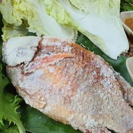 มิตรภาพบาร์ อาหารตามสั่ง