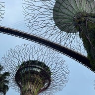 Gardens by the Bay