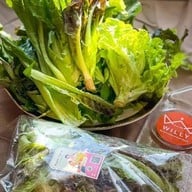 วิลลี่แหนมเนือง ทาวน์อินทาวน์