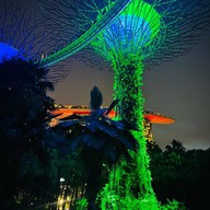 Gardens by the Bay