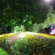 บรรยากาศ งานเทศกาลเชียงรายดอกไม้งาม สวนตุงและโคมนครเชียงราย