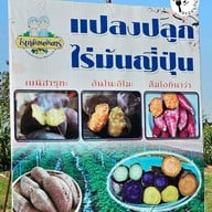 เมนู ไร่เหมือนจันทร์