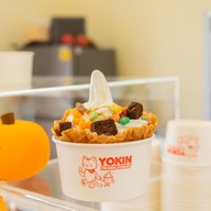Yokin Frozen Yogurt 62 Blocs