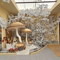 บรรยากาศ Cactaceae Cafe