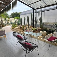 บรรยากาศ Cactaceae Cafe