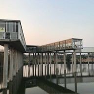 Octospider Restaurant