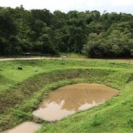 บรรยากาศ วนอุทยานเขากระโดง