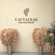 บรรยากาศ Cactaceae Cafe