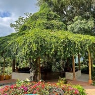 Phu Chaisai Mountain Resort