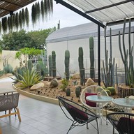 บรรยากาศ Cactaceae Cafe