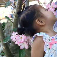 เครปญี่ปุ่นนมสดไส้ทะลัก By จรเข้สามพัน -