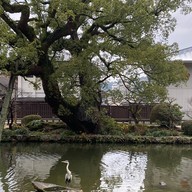 ศาลเจ้าดาไซฟุ ฟุกุโอกะ