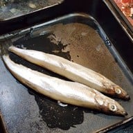 เมนูของร้าน Tenjo Sushi & Yakiniku Premium Buffet เดอะมอลล์ ท่าพระ