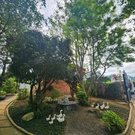 The Forest For Rest Resort Khoi Yai