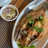 ศ.สุพรชัย77 เสรีไทย 77