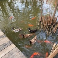 Kapee city - Karaoke City & Pee Neung Coffee