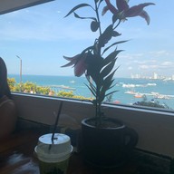 City Coffee Pattaya