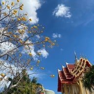 วัดป่าภูหายหลง