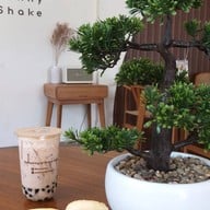 BUNNY SHAKE CAFE บางพระ สาขาบางพระ