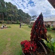 22 AQUARIUS GLAMPING CAFE'