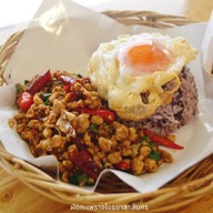 กะเพราอโยธยา สกลนคร สกลนคร