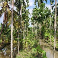 บรรยากาศ In Garden Hut Cafe