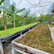 บรรยากาศ In Garden Hut Cafe