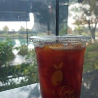 Lemon Tree Cafe