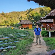 ไร่สตรอเบอร์รี่ไผ่สีทอง