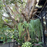 Yody Coffee & Family