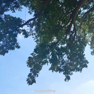 บรรยากาศ The white cafe at Banpong